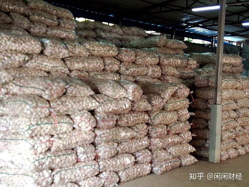 农产品市场冰火两重天 大豆油飙升20%与上海蒜价跌3成背后的产业逻辑