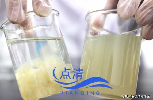 食品厂含油废水破乳剂的应用与大豆油废水处理解决方案